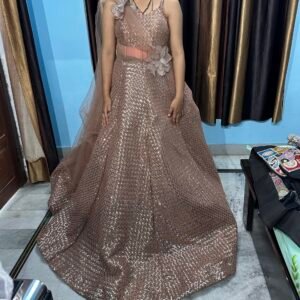 Champagne Rose Indo-Western Gown Set