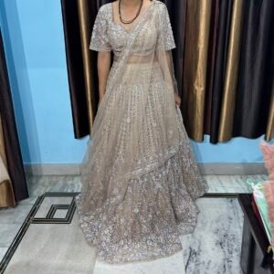 Champagne Glow Embroidered Lehenga Set