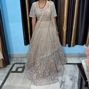 Champagne Glow Embroidered Lehenga Set