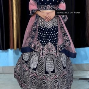 Navy Royal Palace Embroidered Lehenga Set